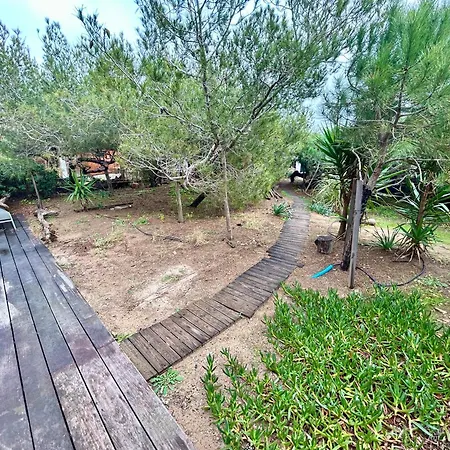 Lejlighed Luxe Le Levant Hyères