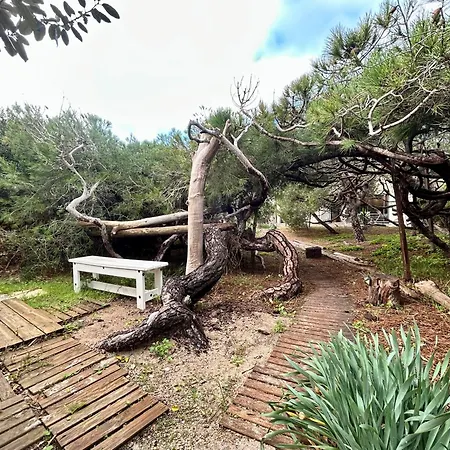 Luxe Le Levant Lejlighed *